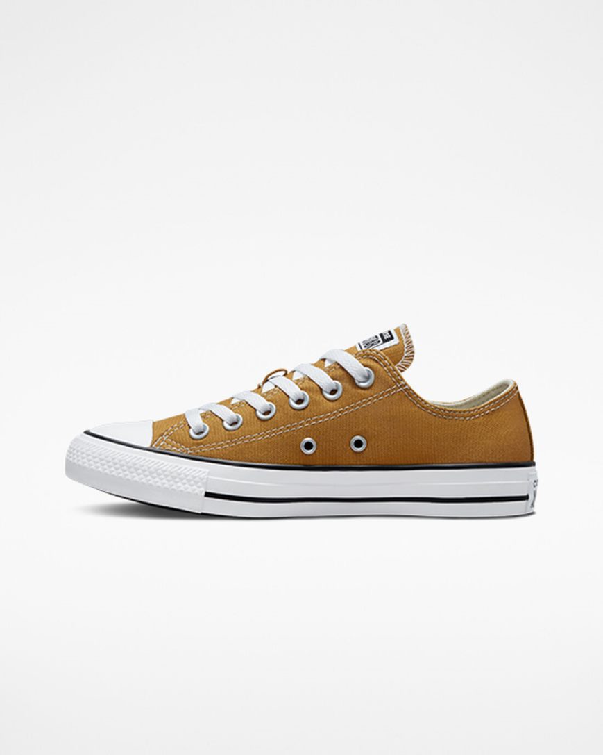 Men's Converse Chuck Taylor All Star Seasonal Color Low Top Shoes Orange | AU 04638L